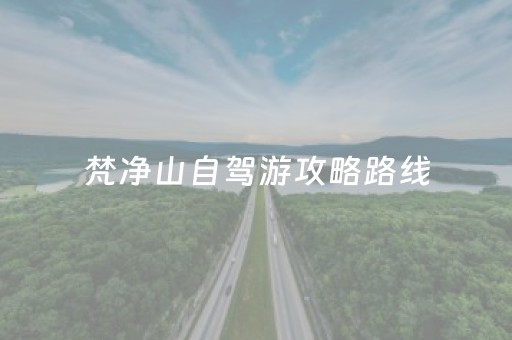 梵净山自驾游攻略路线（梵净山自驾游攻略路线从成都出发）