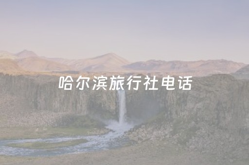 哈尔滨旅行社电话（哈尔滨旅行社电话号多少）