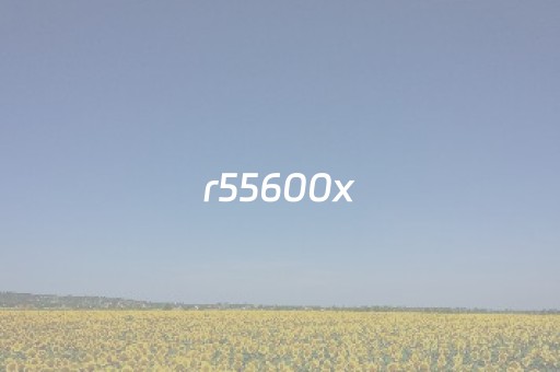 r55600x（r55600性能相当于i几）