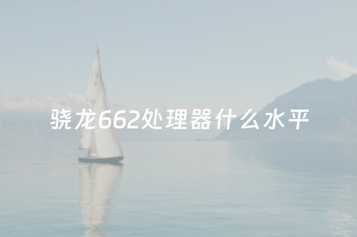 骁龙662处理器什么水平（骁龙662处理器的手机有哪些）