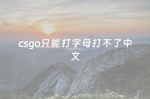 csgo只能打字母打不了中文（csgo打不出字只能打英文）