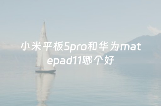 小米平板5pro和华为matepad11哪个好（小米平板5pro和华为matepad11那个好）