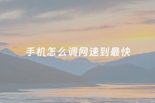 手机怎么调网速到最快（手机怎么调网速到最快vivo）