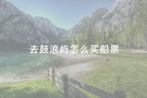 去鼓浪屿怎么买船票（鼓浪屿怎么买船票加上景点票）