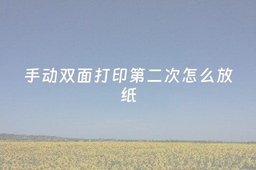 手动双面打印第二次怎么放纸（爱普生手动双面打印第二次怎么放纸）