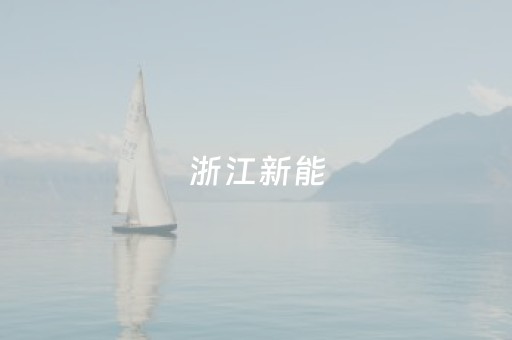 浙江新能（浙江新能源汽车公司有哪些）