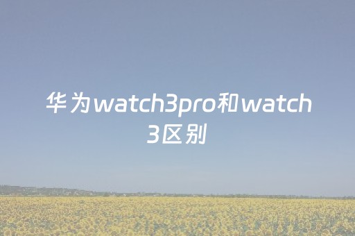 华为watch3pro和watch3区别（华为watch3跟watch3pro的区别）