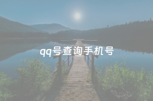 qq号查询手机号（号查询手机号在线网站）