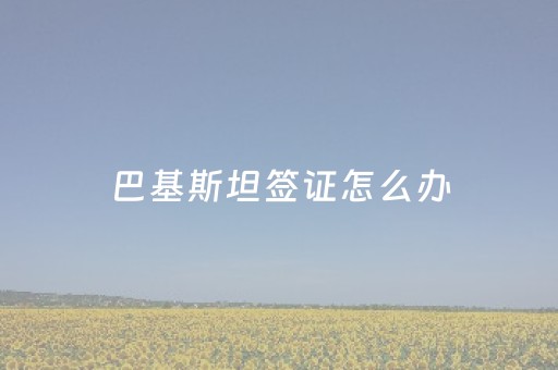 巴基斯坦签证怎么办（去巴基斯坦怎么办理签证）