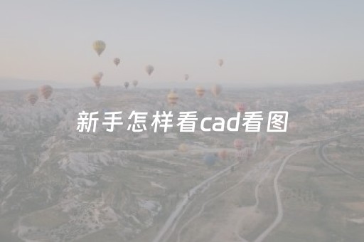 新手怎样看cad看图（cad看图怎么看）