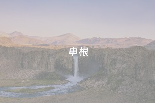 申根
（申根
地图）