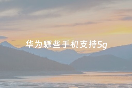 华为哪些手机支持5g（华为哪些手机支持5G功能）