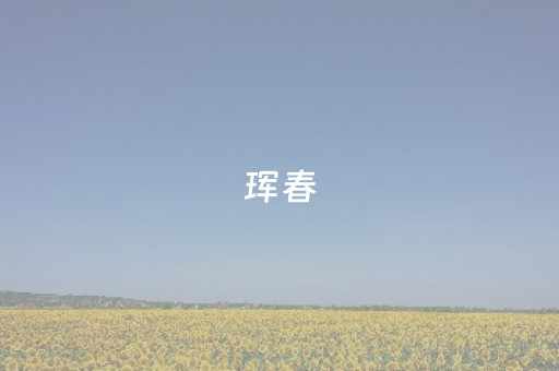 珲春（珲春开展校车安全大检查）