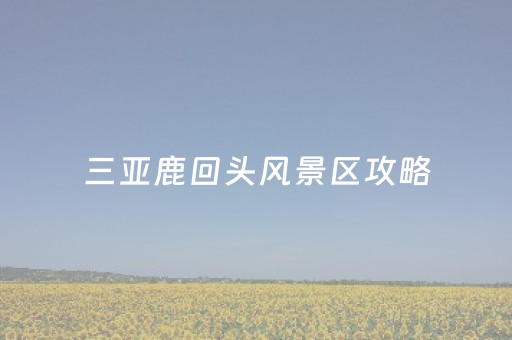 三亚鹿回头风景区攻略（三亚鹿回头景区门票多少钱）