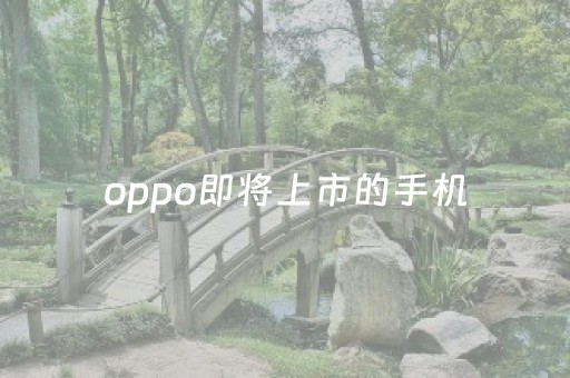 oppo即将上市的手机（oppo即将上市的手机是哪一款）