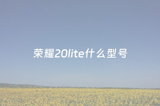 荣耀20lite什么型号（荣耀畅享20参数）