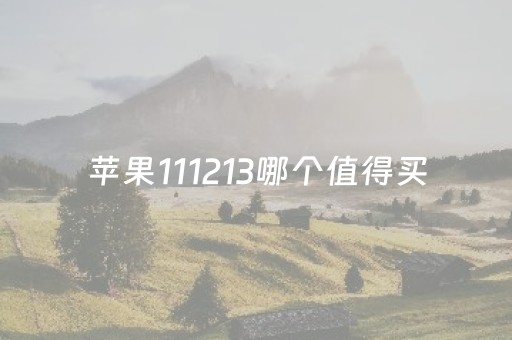 苹果111213哪个值得买（苹果手机11 12 13买哪个）