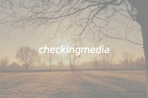 checkingmedia（checkingmediapresence开不了机怎么办）