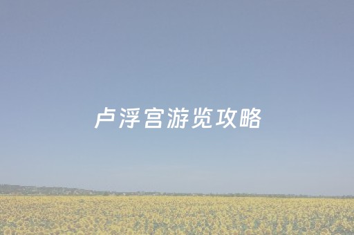 卢浮宫游览攻略（卢浮宫开放时间及门票）