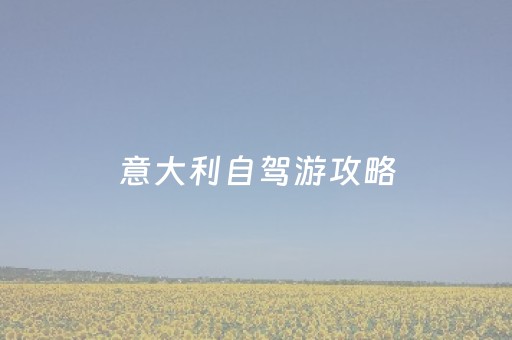 意大利自驾游攻略（意大利自驾游攻略路线）