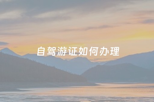 自驾游证如何办理（自驾证明怎么弄）