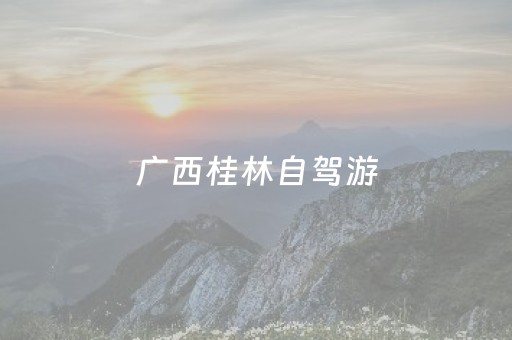 广西桂林自驾游（广西桂林自驾游攻略最佳旅游攻略）