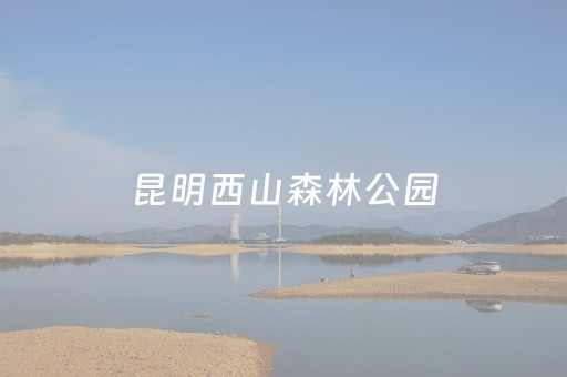 昆明西山森林公园（昆明西山森林公园开放时间）