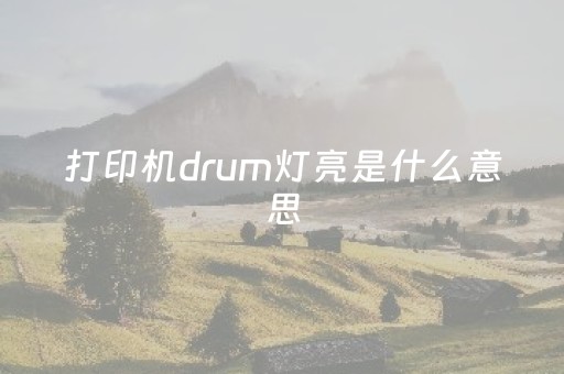 打印机drum灯亮是什么意思（打印机error和drum灯一直闪）