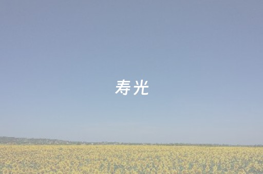 寿光（寿光大集）