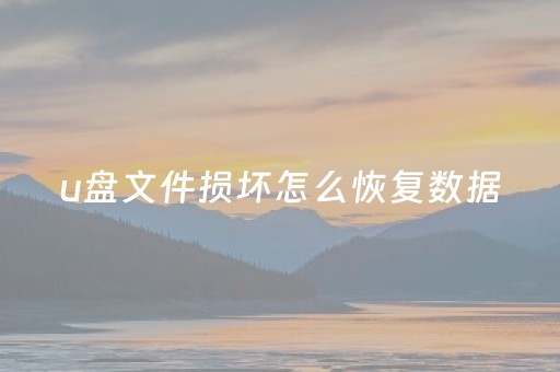 u盘文件损坏怎么恢复数据（u盘文件突然不见了怎么恢复）