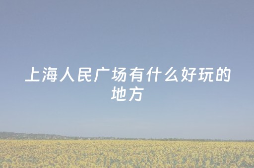 上海人民广场有什么好玩的地方（上海人民广场有什么好玩的地方推荐一下）