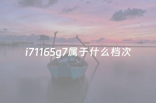 i71165g7属于什么档次（i71165g7属于什么档次和i71065）