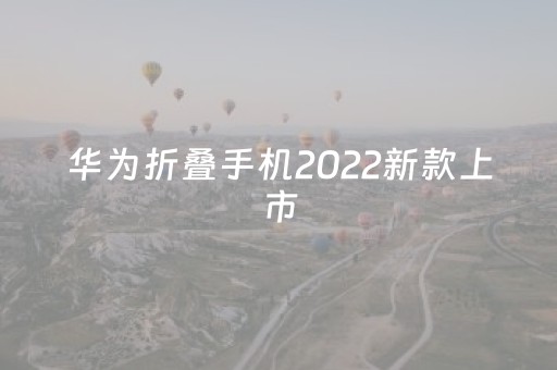 华为折叠手机2022新款上市（华为新款折叠手机报价）