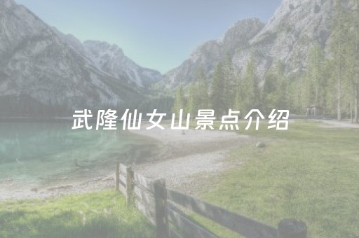 武隆仙女山景点介绍（武隆仙女山旅游攻略）