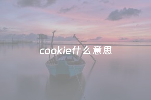 cookie什么意思（cookies什么意思）