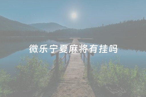 微乐宁夏麻将有挂吗（微乐辅助器免费版）