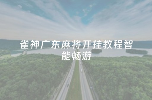 雀神广东麻将开挂教程智能畅游（雀神广东麻将开挂教程）