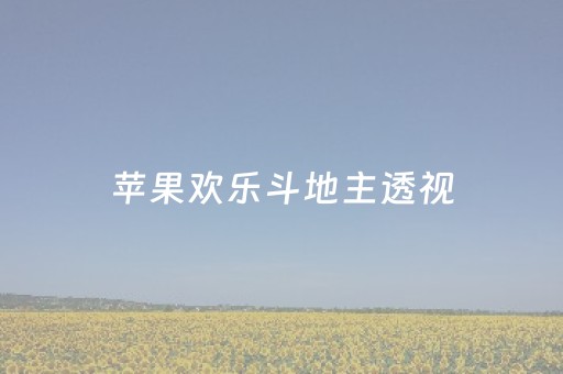 苹果欢乐斗地主透视（欢乐斗地主内置透视）