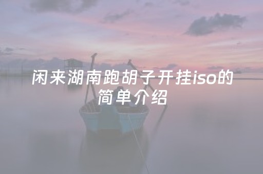 闲来湖南跑胡子开挂iso的简单介绍（湖南跑胡子开挂是不是真的）