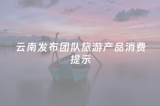 云南发布团队旅游产品消费提示，提醒游客抵制“不合理低价游”