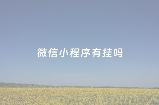 微信小程序有挂吗（怎么做微信小程序）