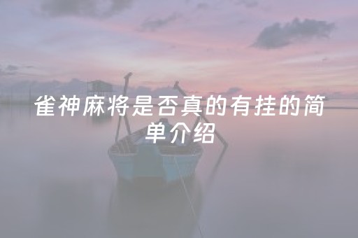 雀神麻将是否真的有挂的简单介绍（雀神麻将挂多少钱）