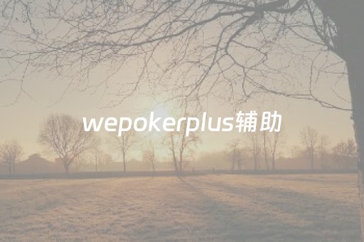 wepokerplus辅助（wepokerplus辅助透视挂 怎么才能开到挂呢）