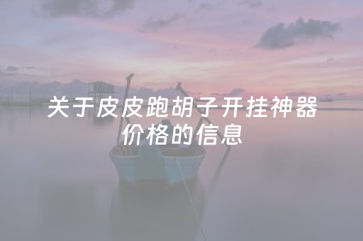 关于皮皮跑胡子开挂神器价格的信息（皮皮跑胡子能开挂吗）