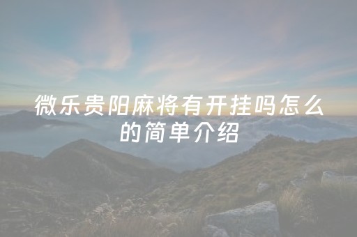 微乐贵阳麻将有开挂吗怎么的简单介绍