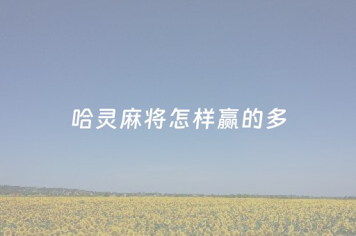 哈灵麻将怎样赢的多（哈灵麻将怎样赢的多一点）