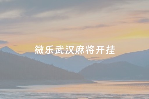 微乐武汉麻将开挂（微乐武汉麻将怎么算分）