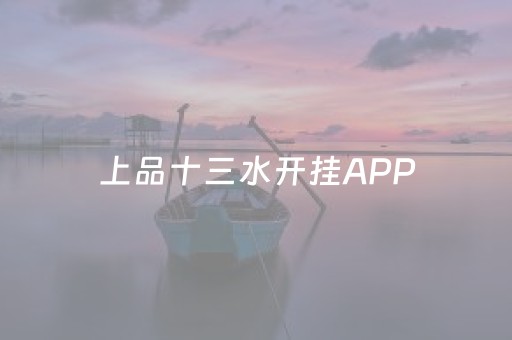 上品十三水开挂APP（上品十三水怎么拿好牌）