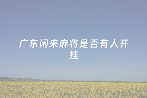 广东闲来麻将是否有人开挂（广东闲来麻将改名叫什么）