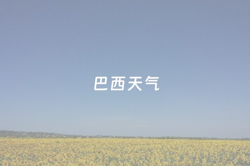 巴西天气（巴西天气预报圣保罗）